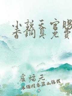 小说天官赐福墨香铜臭免费阅读全文