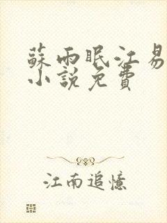 苏雨眠江易淮的小说免费