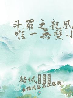 斗罗之龙凰传说 唯一无双小说