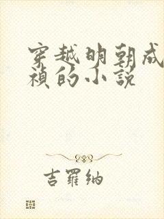 穿越明朝成为崇祯的小说