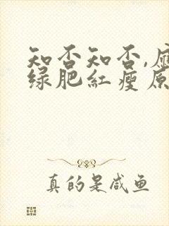 知否知否,应是绿肥红瘦原著小说