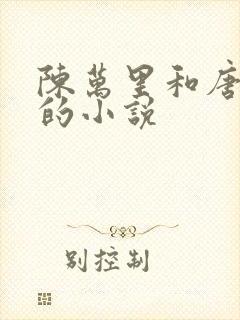 陈万里和唐嫣然的小说
