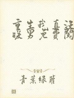 重生我真没想当暖男免费阅读