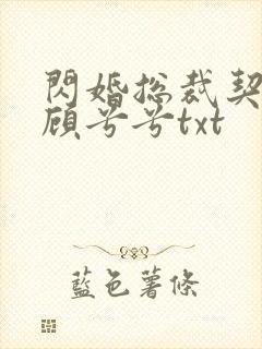闪婚总裁契约妻顾兮兮txt