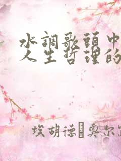 水调歌头中阐述人生哲理的句子是