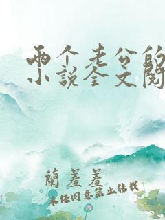 两个老公的生活小说全文阅读免费