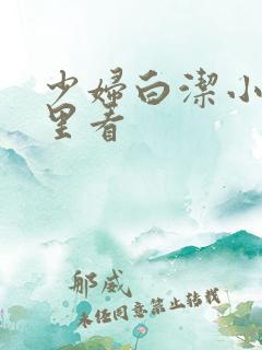 少妇白洁小说哪里看