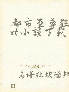都市至尊狂兵txt小说下载