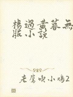 杨过黄蓉无删减版小说