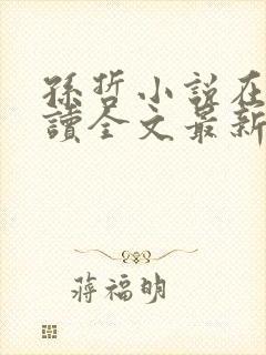 孙哲小说在线阅读全文最新
