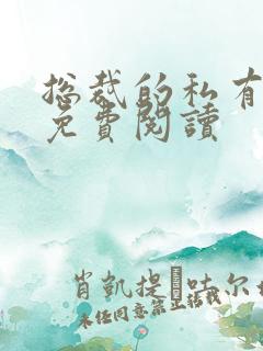总裁的私有宝贝免费阅读