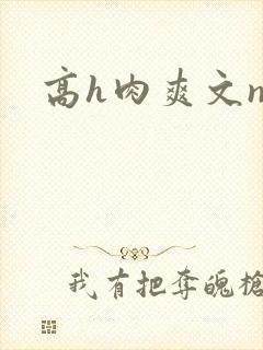 高h肉爽文np