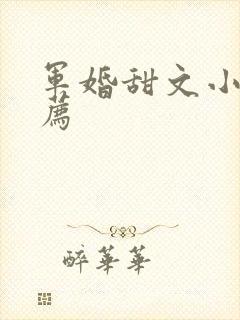 军婚甜文小说推荐