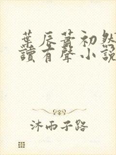 叶辰萧初然免费读有声小说