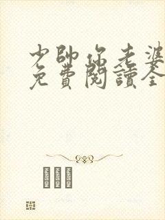 少帅你老婆跑了免费阅读全文