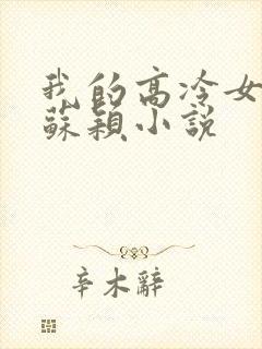我的高冷女总裁苏颖小说