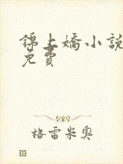 锦上娇小说全文免费