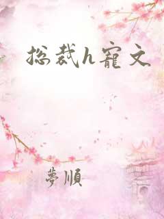 总裁h宠文