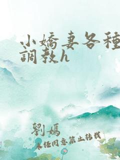 小娇妻各种姿势调教h