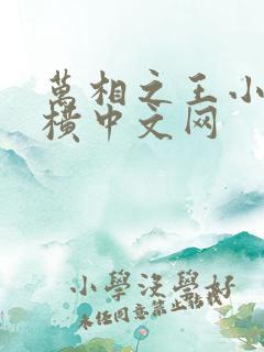 万相之王小说纵横中文网