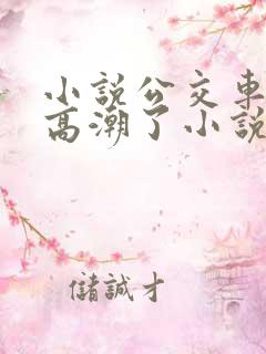 小说公交车被上高潮了小说