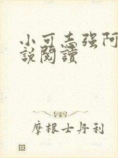 小可志强阿梅小说阅读