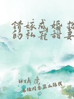错嫁成婚 总裁的私宠甜妻