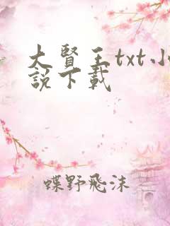 大贤王txt小说下载