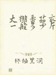 大棚番茄亩产量一般多少斤