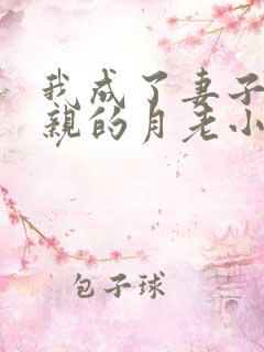 我成了妻子和父亲的月老小说