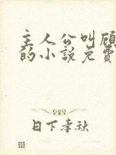 主人公叫顾北弦的小说免费阅读