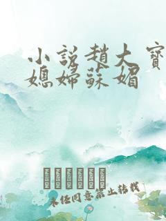 小说赵大宝及儿媳妇苏媚