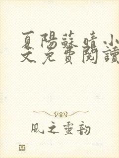 夏阳苏晴小说全文免费阅读