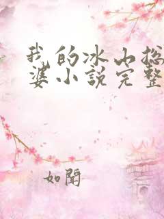 我的冰山总裁老婆小说完整版