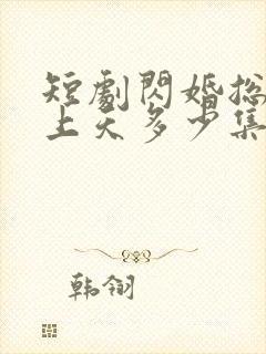 短剧闪婚总裁宠上天多少集