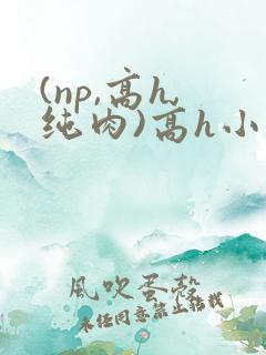 (np,高h,纯肉)高h小说