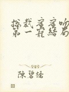 总裁蜜蜜吻甜婚第一宠结局