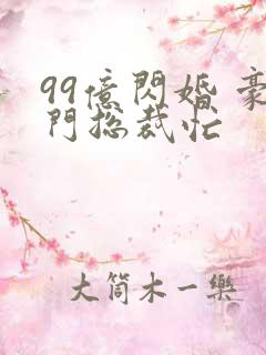 99亿闪婚 豪门总裁忙