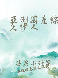 亚洲国产综合久久伊人