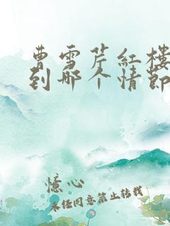 曹雪芹红楼梦写到哪个情节