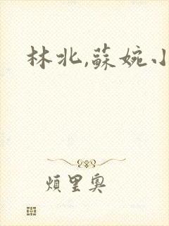 林北,苏婉小说