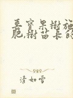 嘉宝果树施什么肥,树苗长的快