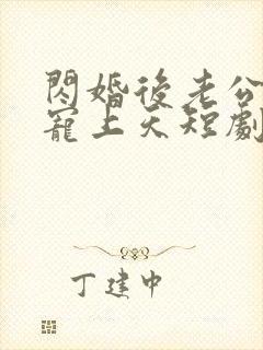 闪婚后老公把我宠上天短剧免费观看