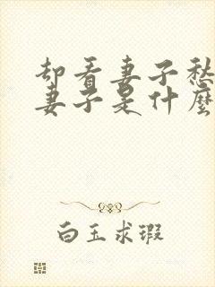 却看妻子愁何在妻子是什么意思