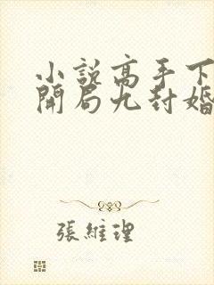 小说高手下山:开局九封婚书