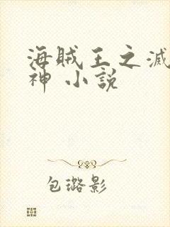 海贼王之灭世雷神 小说