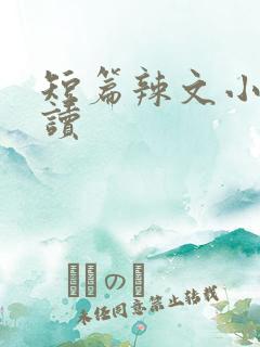 短篇辣文小说阅读