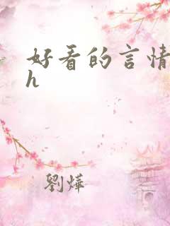 好看的言情小说h