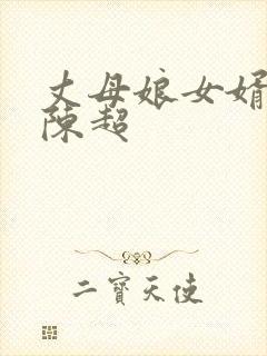 丈母娘女婿小说陈超