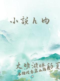 小说 h 肉